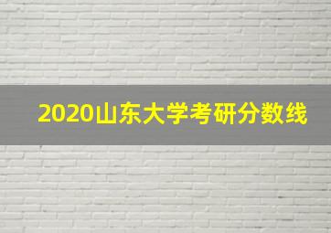 2020山东大学考研分数线