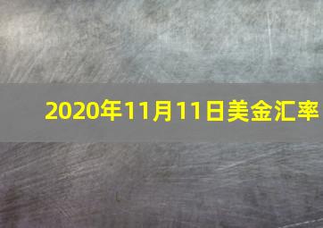 2020年11月11日美金汇率