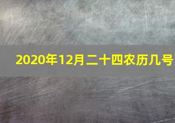 2020年12月二十四农历几号