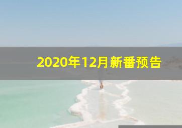 2020年12月新番预告