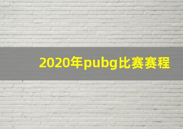 2020年pubg比赛赛程