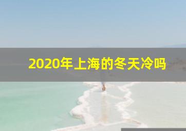 2020年上海的冬天冷吗