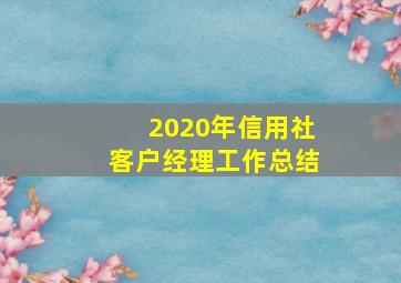 2020年信用社客户经理工作总结