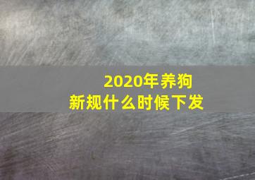 2020年养狗新规什么时候下发