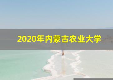 2020年内蒙古农业大学