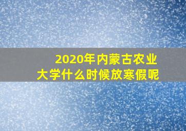 2020年内蒙古农业大学什么时候放寒假呢