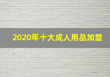 2020年十大成人用品加盟