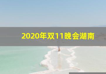 2020年双11晚会湖南