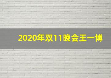 2020年双11晚会王一博