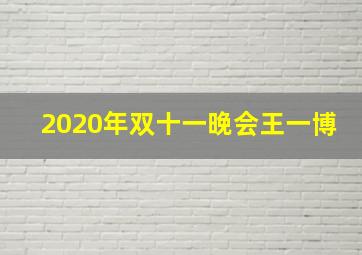 2020年双十一晚会王一博