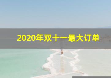 2020年双十一最大订单