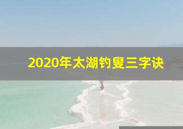 2020年太湖钓叟三字诀