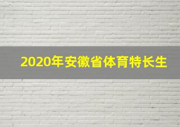 2020年安徽省体育特长生