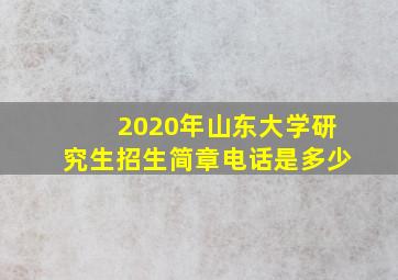 2020年山东大学研究生招生简章电话是多少