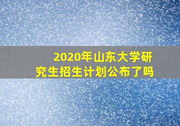 2020年山东大学研究生招生计划公布了吗