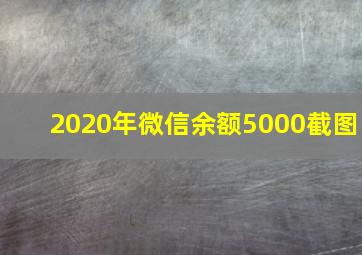 2020年微信余额5000截图