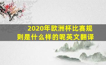 2020年欧洲杯比赛规则是什么样的呢英文翻译