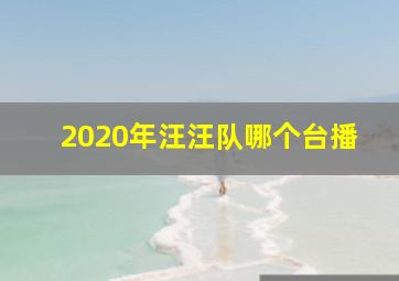 2020年汪汪队哪个台播