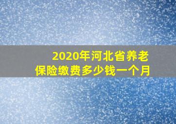 2020年河北省养老保险缴费多少钱一个月