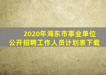 2020年海东市事业单位公开招聘工作人员计划表下载