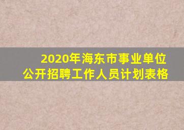 2020年海东市事业单位公开招聘工作人员计划表格