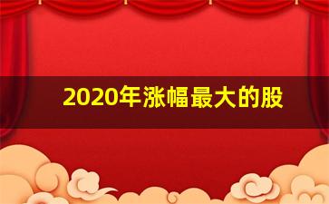 2020年涨幅最大的股