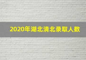 2020年湖北清北录取人数