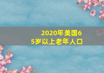 2020年美国65岁以上老年人口