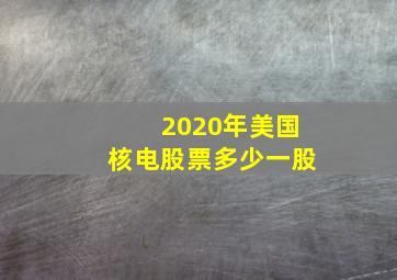 2020年美国核电股票多少一股