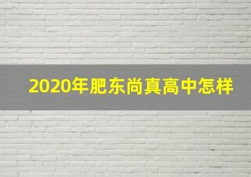 2020年肥东尚真高中怎样