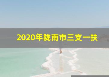 2020年陇南市三支一扶