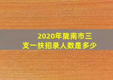 2020年陇南市三支一扶招录人数是多少