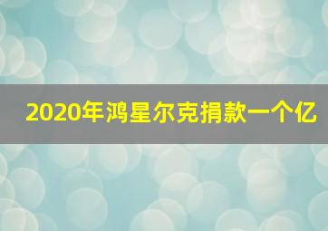 2020年鸿星尔克捐款一个亿