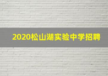 2020松山湖实验中学招聘