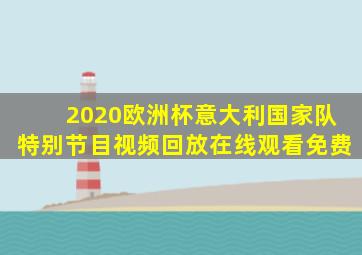 2020欧洲杯意大利国家队特别节目视频回放在线观看免费