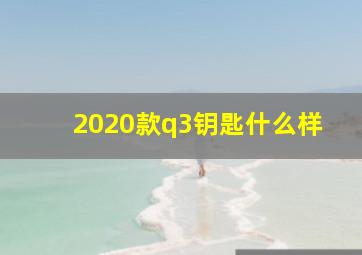 2020款q3钥匙什么样