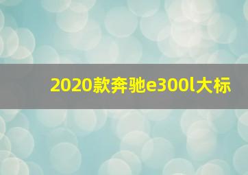 2020款奔驰e300l大标