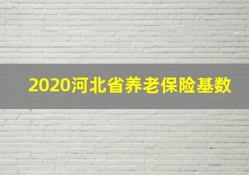 2020河北省养老保险基数