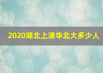 2020湖北上清华北大多少人