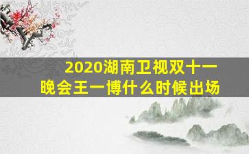 2020湖南卫视双十一晚会王一博什么时候出场