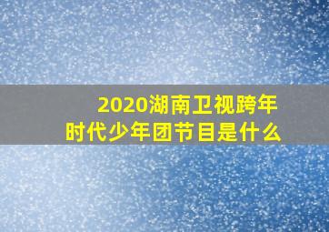 2020湖南卫视跨年时代少年团节目是什么