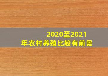 2020至2021年农村养殖比较有前景