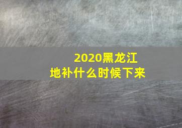 2020黑龙江地补什么时候下来