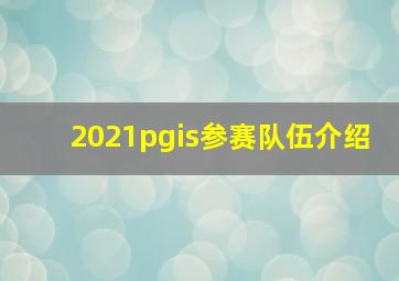 2021pgis参赛队伍介绍