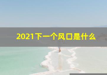 2021下一个风口是什么