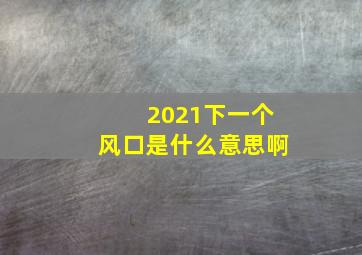 2021下一个风口是什么意思啊