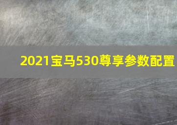 2021宝马530尊享参数配置