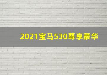 2021宝马530尊享豪华