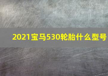 2021宝马530轮胎什么型号