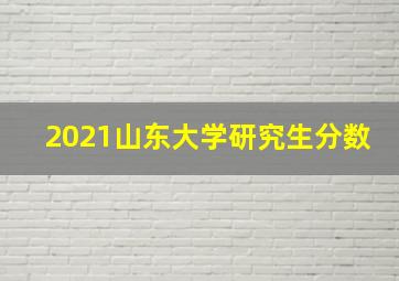 2021山东大学研究生分数